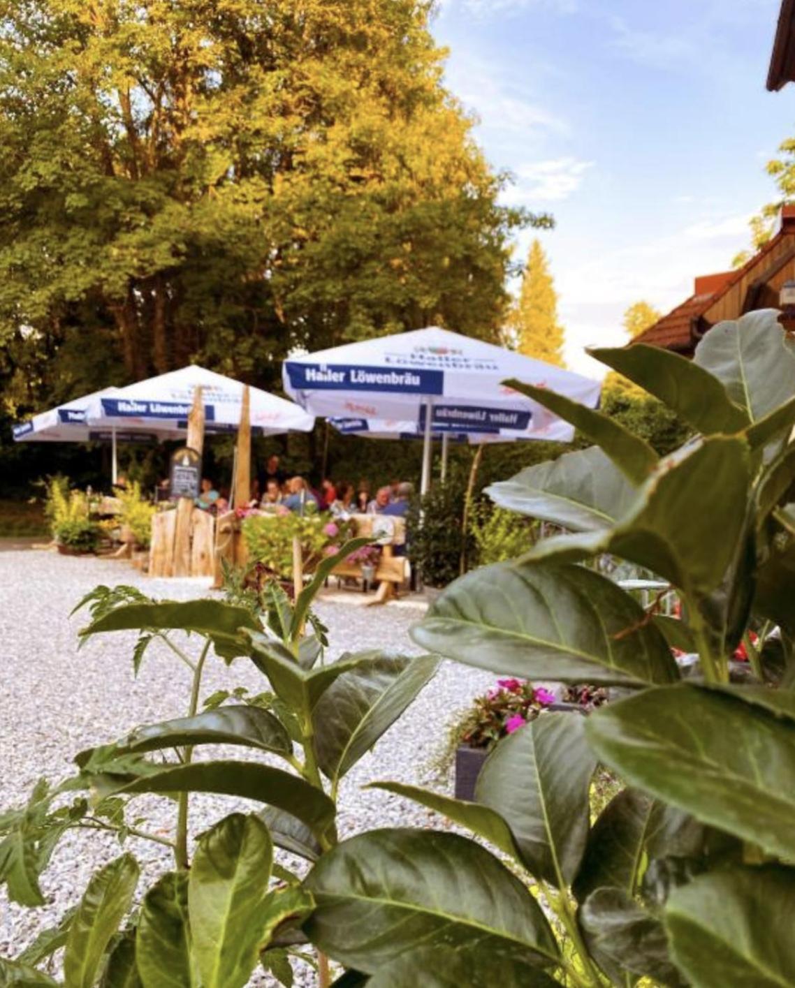 Cozy Vibes Apartment Michelbach an Der Bilz Luaran gambar